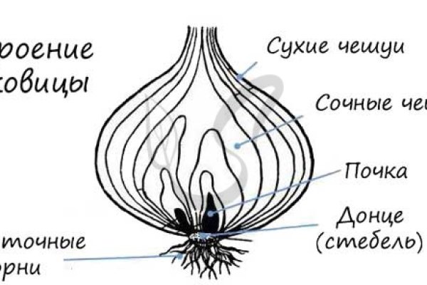 Украли аккаунт на кракене что делать
