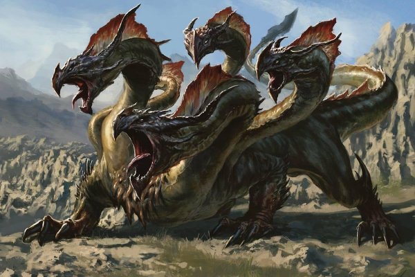 Kraken найдется все