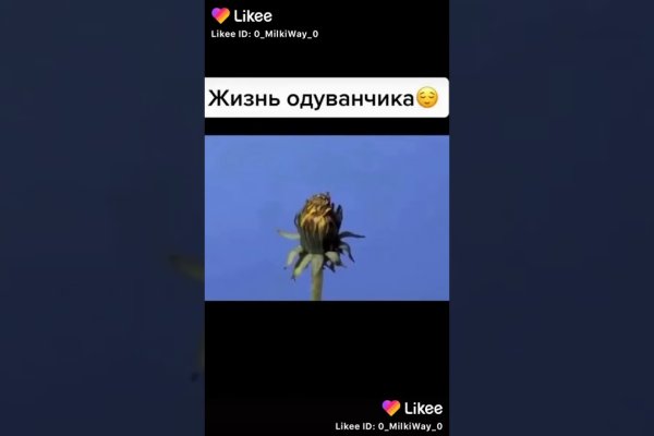Найдется все kraken 2krn cc