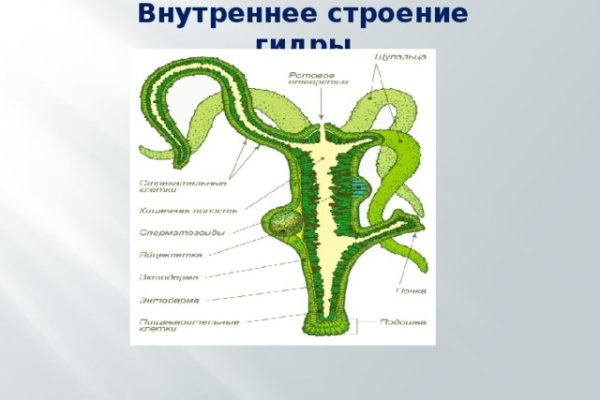 Сайт kraken тор