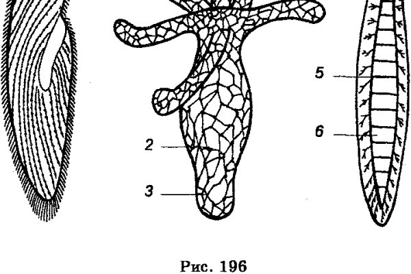 Kra11.cc
