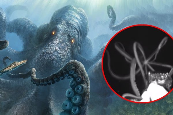 Кракен магазин krakens13 at